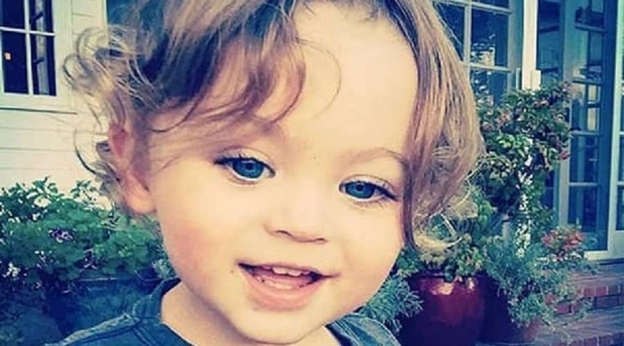 Who is Bodhi Ransom? Bio, Age, Net worth, Parents, Ethnicity...